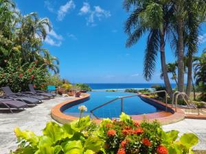 una piscina en un complejo con palmeras y el océano en Black Rock Villas en Rarotonga