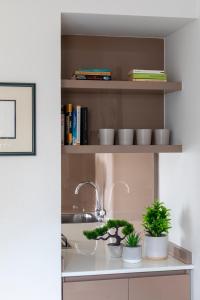 a kitchen counter with three potted plants and a sink at Vittoria apartment BDB in Rome