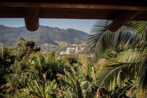 a view of a jungle with palm trees and mountains at Chalé Sol da Montanha em Termas do Gravatal - SC in Gravatal