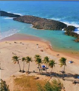 a group of palm trees on a beach with the ocean at Small, Private Beach House & Pool in Vega Baja