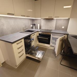 a kitchen with a dishwasher and a sink in it at FeWo-Lieck in Heinsberg