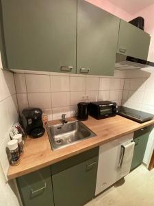 a kitchen counter with a sink and a microwave at Traumwohnung in 1.000 Meter Höhe in Schönwald