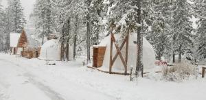 un grupo de tiendas cubiertas de nieve junto a los árboles en Boulder Mountain Resort en Revelstoke