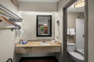 a bathroom with a sink and a toilet and a mirror at Red Roof Inn Dallas - DFW Airport North in Irving