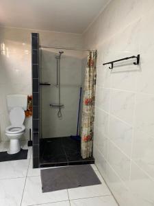 a bathroom with a shower and a toilet at City Appartementen New Nickerie - 4p in Nieuw Nickerie