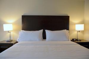 Postel nebo postele na pokoji v ubytování Holiday Inn Express Tomball by IHG