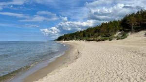a sandy beach with trees and the ocean at Apartament "Szczęśliwa 13" in Dziwnówek +10 photos