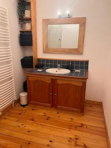 ein Bad mit einem Waschbecken und einem Spiegel in der Unterkunft Le chalet percheron in La Loupe