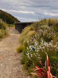 a garden with white flowers on a dirt road at “The Cliffs” Humpridge View Motels in Tuatapere