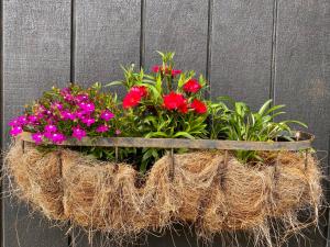 a basket of flowers hanging on a wall at “The Cliffs” Humpridge View Motels in Tuatapere