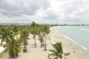 uma vista para uma praia com palmeiras e para o oceano em Coral Suites em San Juan