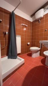 uma casa de banho com um chuveiro, um WC e um lavatório. em Art apartment Alla casa del Gastaldo em Gorizia