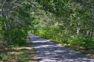 a road that has some trees on it at Captains Quarters Motel & Conference Center in Eastham
