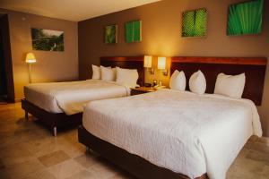 een hotelkamer met twee bedden en twee lampen bij Hilton Garden Inn Veracruz Boca del Rio in Veracruz