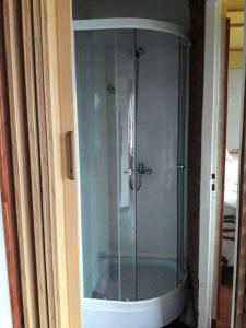 a shower with a glass door in a bathroom at LO DE ROCCO in Esquel