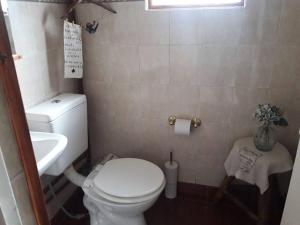 Baño pequeño con aseo y lavamanos en LO DE ROCCO en Esquel