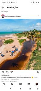a picture of a beach with cars and a palm tree at Mangue em flor in Maxaranguape