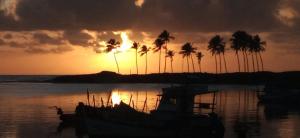 een boot in het water bij zonsondergang met palmbomen bij Mangue em flor in Maxaranguape