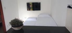 a bedroom with a bed and a potted plant at Mangue em flor in Maxaranguape