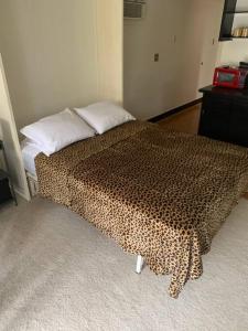 ヒロにあるLucy's Place -STUDIO Apt with air-conditioning, Murphy bedのヒョウ柄の毛布が備わるドミトリールームのベッド1台分です。 +6枚の写真