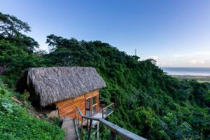 małą chatę z dachem krytym strzechą na wzgórzu w obiekcie Paraiso Ahimsa w mieście Buritaca