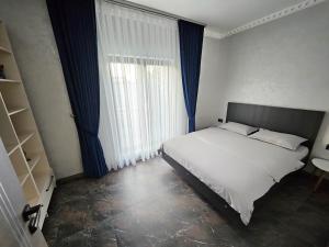 a bedroom with a bed and a large window at Casa Anastasia in Oradea