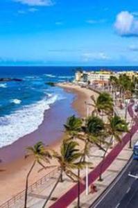 vistas a una playa con palmeras y al océano en Beira-mar, aconchego e praticidade en Salvador