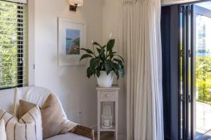 a living room with a plant on a table next to a window at The Moorings Studio Apartments in Oneroa