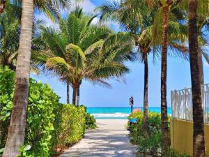 um caminho que leva à praia com palmeiras em Sunny Isles Ocean Paradise em Sunny Isles Beach