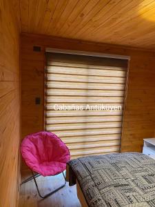 1 dormitorio con puerta de garaje cerrada con silla rosa en CABAÑAS ANTU KUYEN en Pichilemu
