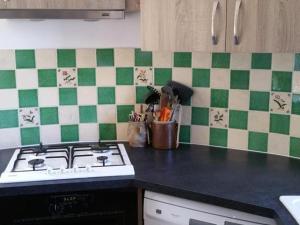 cocina con fogones y azulejos verdes y blancos en Gîte Le Brethon, 5 pièces, 8 personnes - FR-1-489-217, en Le Brethon
