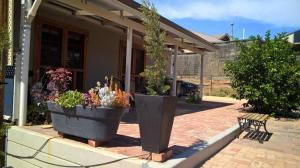 zwei große Topfpflanzen vor einem Haus in der Unterkunft Book Keepers Cottage in Waikerie