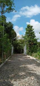 eine Brücke über eine Straße mit Bäumen darauf in der Unterkunft CROSSROADS HAVEN FARM in Majayjay