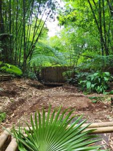 CROSSROADS HAVEN FARM في Majayjay: حديقة بها سياج ونبتة نخيل
