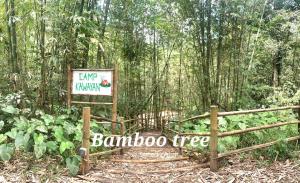 Znak w środku lasu bambusowego w obiekcie CROSSROADS HAVEN FARM w mieście Majayjay