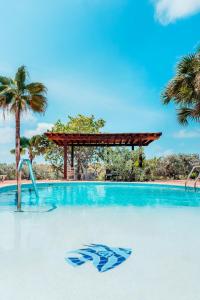 a swimming pool with blue water and palm trees at The elegance of Tierra del Sol with private pool in Palm-Eagle Beach