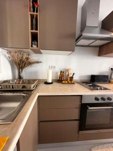 una cucina con lavandino e piano cottura forno superiore di App avec jardin dans un hôtel a Gammarth