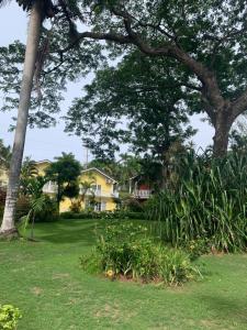 a yard with a yellow house and trees and grass at Guango Grove Cozy Corner in Montego Bay