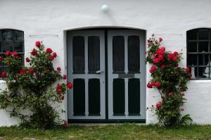 a door with red roses in front of a building at Windmühle Catharina in Oldenswort