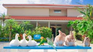 eine Gruppe von Kaninchen und Vögeln, die auf einem Tisch sitzen in der Unterkunft Little Mermaid Hotel Ishigakijima in Ishigaki-jima