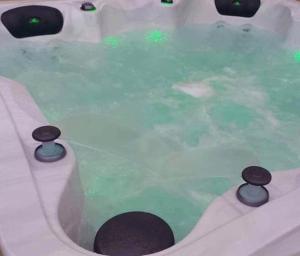 a bath tub with green water and black objects in it at L'escale de Courçon in Courçon