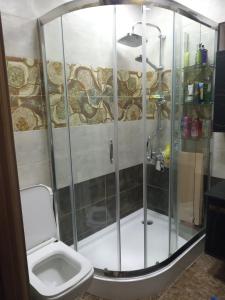 a bathroom with a shower and a toilet at Резиденция Изумруд in Baku +20 photos