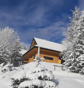 ein Blockhaus mit schneebedeckten Bäumen davor in der Unterkunft Domki Krynica in Krynica-Zdrój