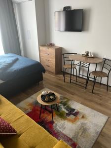 TV a/nebo společenská místnost v ubytování Pražská Apartments