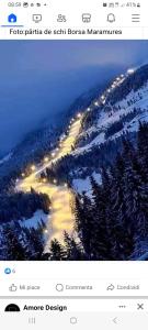 Billede fra billedgalleriet på Casa Roman i Statjunea Borsa