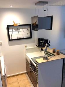 Kuchyň nebo kuchyňský kout v ubytování Ferienwohnungen Seestern Marina Port of Wendtorf + 10 fotografií