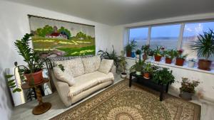 a living room with a couch and potted plants at Коттедж in Borovoye