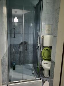 Koupelna v ubytování Vila Mala Evropa + 102 fotografií