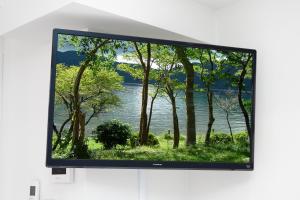 IKEBUKURO MANGA HOUSE في طوكيو: تلفزيون بشاشة مسطحة مع صورة لبحيرة
