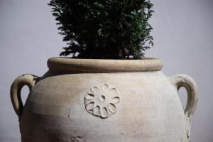 a large vase with a plant in it at Casa Dei Vettii B&B in Pompei Scavi
